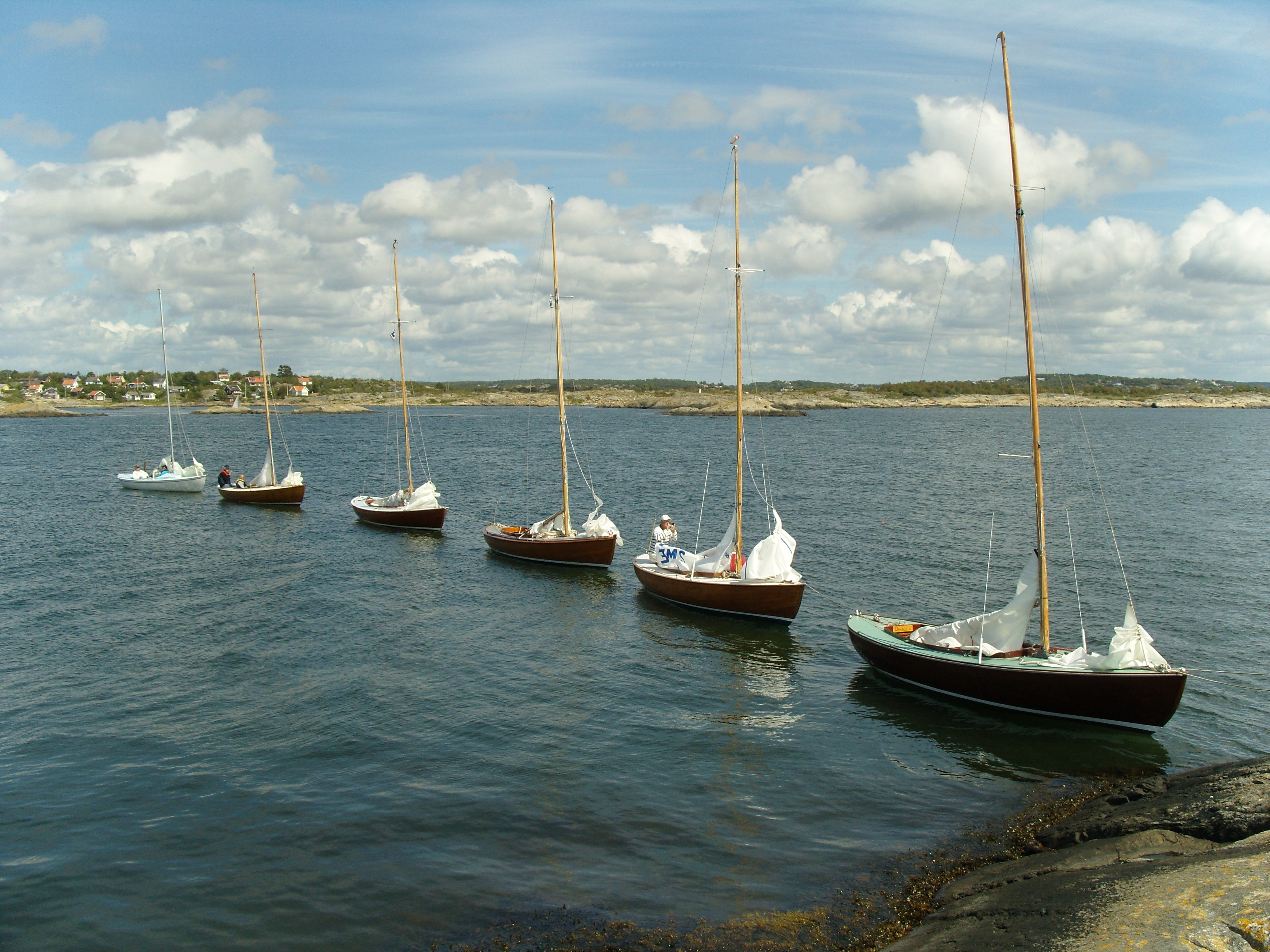 Andunge på havet