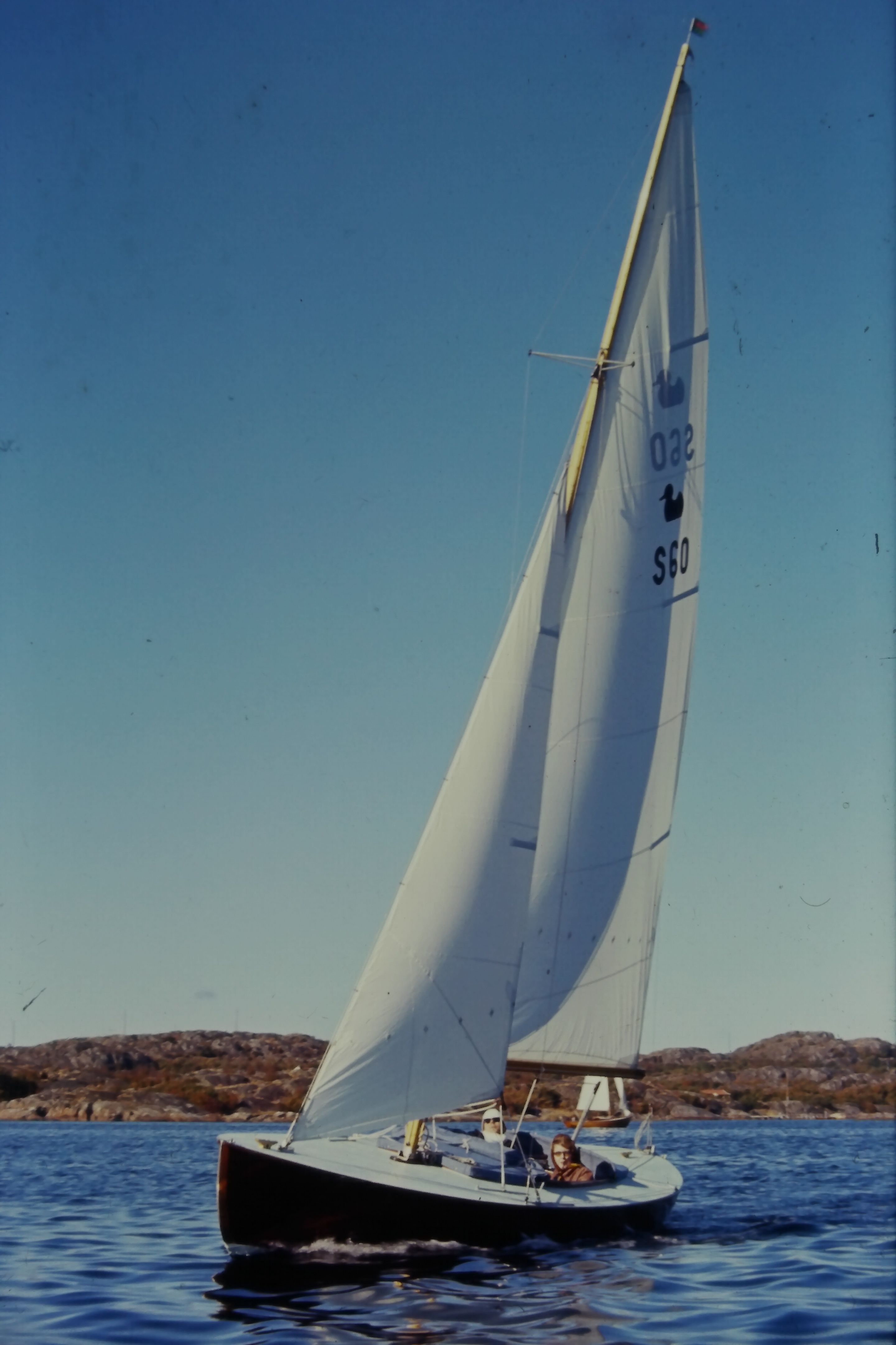 Andunge på havet